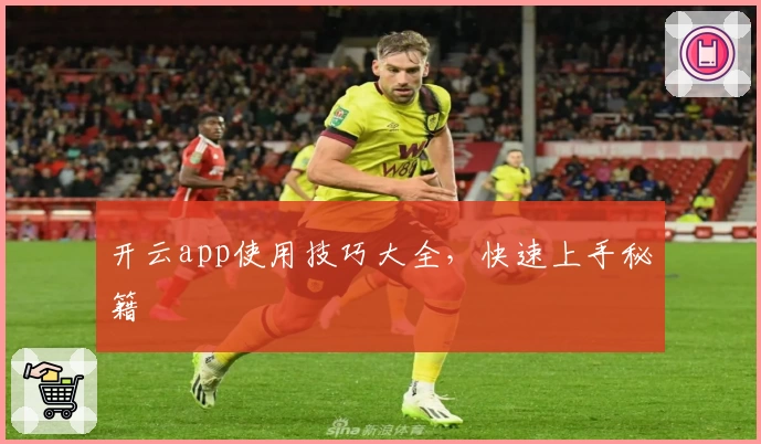 开云app使用技巧大全，快速上手秘籍