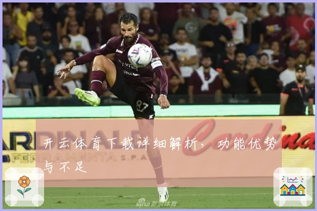 开云体育下载详细解析，功能优势与不足