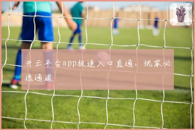 开云平台app极速入口直通，玩家必选通道