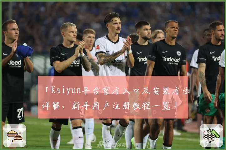 「Kaiyun平台官方入口及安装方法详解,新手用户注册教程一览」